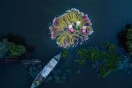 Nhiếp ảnh nghệ thuật thời công nghệ