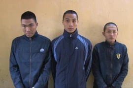 Bắt giữ ổ nhóm trộm cắp hàng chục thùng bia