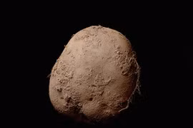 Bức ảnh chụp khoai tây được bán với giá 1 triệu euro