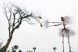 Những bức tranh được làm từ…rác đào