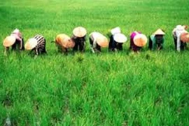 Đừng có mà so bì!