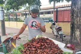 Người Hà Nội thích thú với quả lạ 