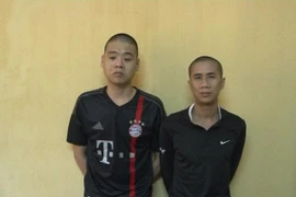 Có tiền án vẫn đi cướp giật tài sản