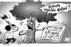Nhân tai nguy hơn thiên tai