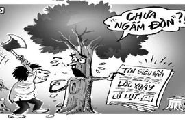 Nhân tai nguy hơn thiên tai