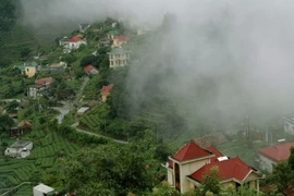 Lên Tam Đảo “tắm” sương