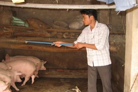 Tìm ra nguyên nhân, tù mù giải pháp