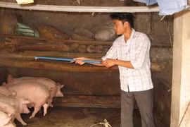 Tìm ra nguyên nhân, tù mù giải pháp