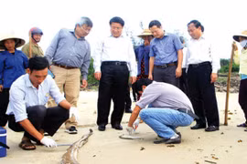 Dự kiến chiều nay công bố nguyên nhân cá chết hàng loạt ven biển miền Trung