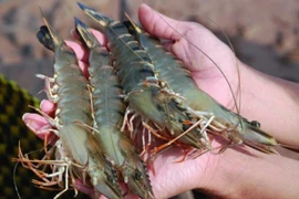 Giá thủy hải sản giảm nhẹ