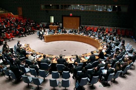 HĐBA thông qua nghị quyết của Nga thực thi lệnh ngừng bắn tại Ukraine