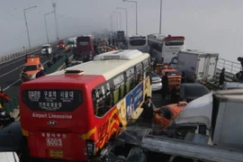 2 người Việt bị thương trong vụ đâm xe liên hoàn ở Hàn Quốc 