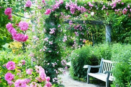 Không gian "Tiệc yêu" dành tặng các cặp tình nhân