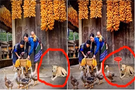 Thêm một bức ảnh đoạt HCV bị tố chắp ghép