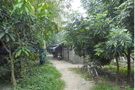 Thu hồi đất khu Cát Thượng, Hoàng Mai: Cần bồi thường thỏa đáng cho người dân