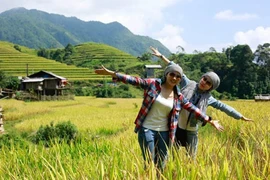 Không phải "mùa vàng", du khách được chiều hết cỡ