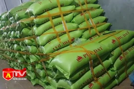 Tạm giữ hơn 40 tấn hạt đậu tương có dấu hiệu giả nhãn hiệu