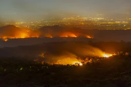 Mafia ‘vũ khí hóa’ các vụ cháy rừng ở miền Nam Italia như thế nào?