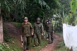 Công an xã chủ động trong công tác đấu tranh phòng chống tội phạm 