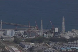 TEPCO cho tạm ngừng hệ thống xử lý nước nhiễm phóng xạ