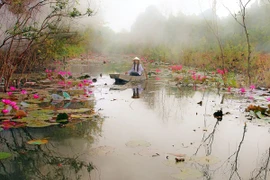 "Hương sắc trăm miền"