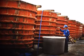 Nhiều người tiêu chảy vì nước mắm rởm của ông trùm xứ Nghệ