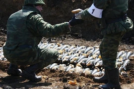 Nga sẽ tiêu hủy 10 triệu tấn đạn dược cũ