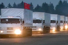 Ukraine đặt điều kiện mới với Nga về tiếp nhận viện trợ