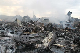 Interpol sẵn sàng giúp xác minh nạn nhân vụ máy bay MH17 bị bắn hạ tại Ukraine