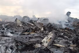 Interpol sẵn sàng giúp xác minh nạn nhân vụ máy bay MH17 bị bắn hạ tại Ukraine