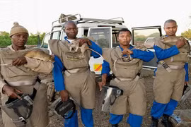 Chuột túi khổng lồ: Cỗ máy dò mìn siêu hạng 