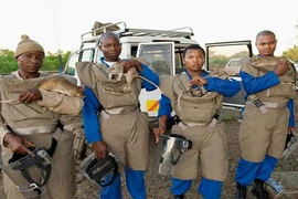 Chuột túi khổng lồ: Cỗ máy dò mìn siêu hạng 