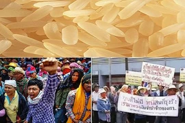 Nông dân Thái Lan dọa chiếm các kho gạo trên cả nước