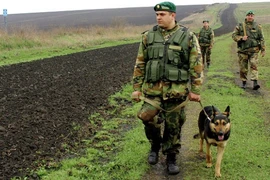 Ukraine xây dựng “bức tường” dọc biên giới với Nga