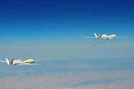 Mỹ chế tạo “UAV động vật”, có khả năng “ăn cắp điện” 