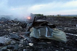 Dân quân Donetsk gửi hộp đen máy bay sang Nga điều tra