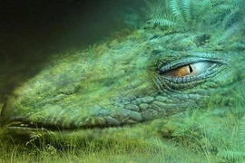 Phát hiện quái vật khổng lồ dưới đáy Bắc Cực