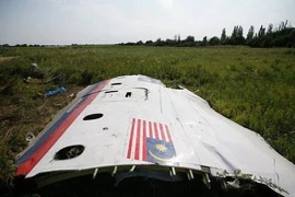 Chuyên gia quốc tế suýt dính đạn cối tại hiện trường vụ MH17