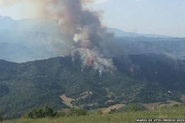 Hai máy bay chiến đấu Italia đâm vào nhau, 4 phi công mất tích