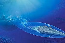 Thiết bị ngầm siêu khoang 5800km/h: Giấc mộng xa vời của Trung Quốc