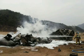 Máy bay Mỹ lại “rụng” ở Afghanistan, 7 phi công thiệt mạng