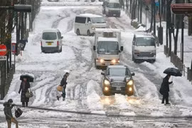 Nhật: 3 người chết và 850 người bị thương vì bão tuyết