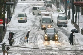 Nhật: 3 người chết và 850 người bị thương vì bão tuyết