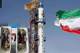 Iran đưa thành công chú khỉ thứ 2 lên vũ trụ