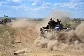 Tổ chức ân xá quốc tế: Cả hai bên xung đột tại Ukraine phạm tội ác chiến tranh