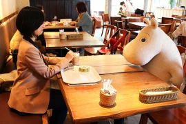 Cafe độc thân cùng gấu bông 