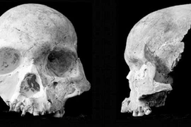 Phát hiện một "loài người" mới từ hóa thạch tìm thấy tại Trung Quốc