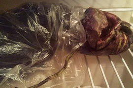 Giữ xác người ngoài hành tinh... trong tủ lạnh?