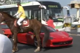 "Phi mã" Ferrari 458 Italia bị ngựa thật đá