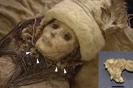 Tìm thấy pho mát trên người xác ướp 3.600 tuổi